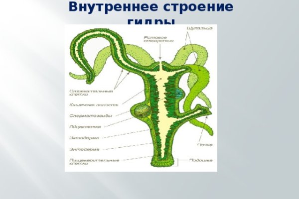 Кракен даркнет войти