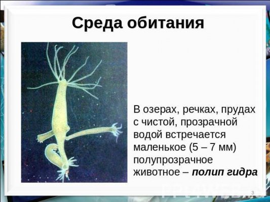 Кракен даркнет тор