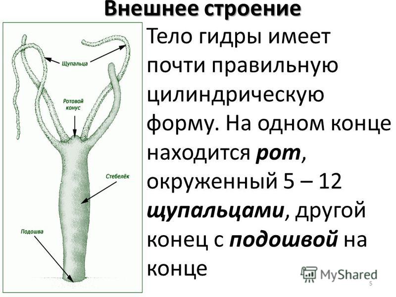 Не зачисляются деньги на кракен